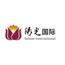 GFChimex 拉美本地合作伙伴 - logo yangguangguoji